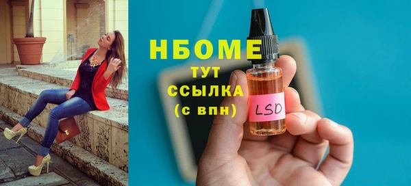 гидропоника Алзамай