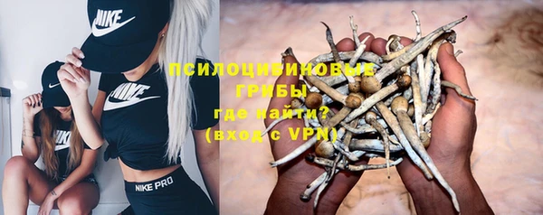 гидропоника Алзамай