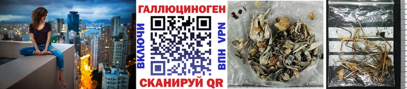 наркотики  Сельцо  Галлюциногенные грибы Psilocybe 