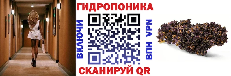 МАРИХУАНА сатива  Сельцо 